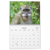2021 Primats - Kalender der Naturfotografie (Jan 2027)