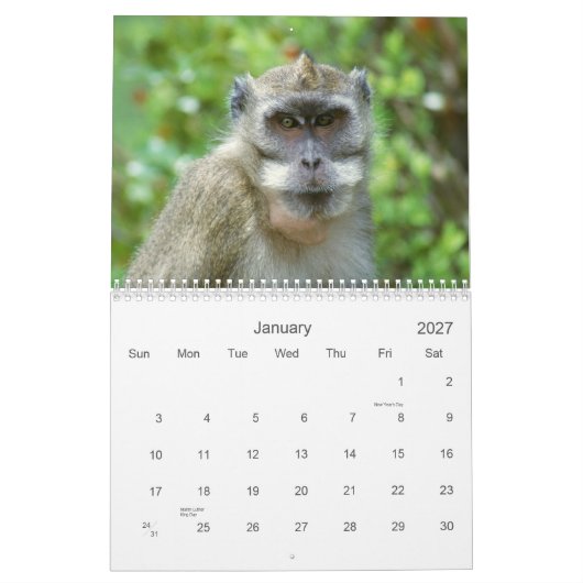 2021 Primats - Kalender der Naturfotografie (Jan 2027)