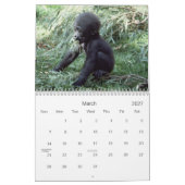 2021 Primats - Kalender der Naturfotografie (Mär 2027)