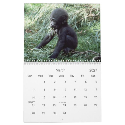 2021 Primats - Kalender der Naturfotografie (Mär 2027)