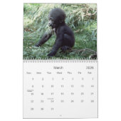 2021 Primats - Kalender der Naturfotografie (Mär 2026)