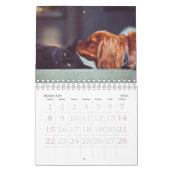 2021 Puppy Dog Pet Foto Kalender (Feb 2026)
