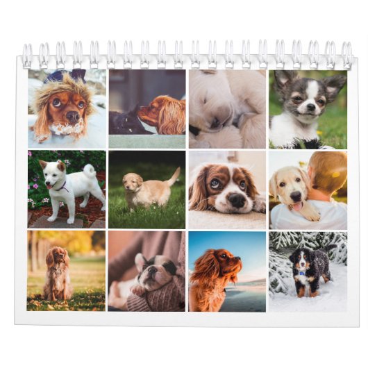 2021 Puppy Dog Pet Foto Kalender (Rückseite)