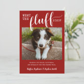 2021 Ruff Year What the Fluff Funny Dog Feiertagskarte (Stehend Vorderseite)