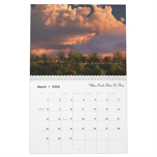 2021 Silverwebforge 3D Landschaftskalender Kalender (Mär 2026)