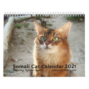 Katze Kalender Zazzle De