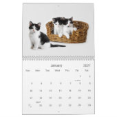 2021 Süssen Katzen und Kätzchen Kalender (Jan 2027)