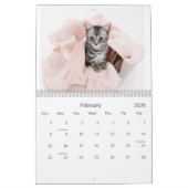 2021 Süssen Katzen und Kätzchen Kalender (Feb 2026)