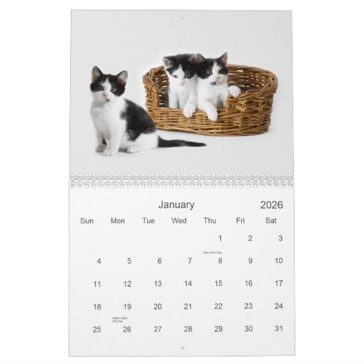2021 Süssen Katzen und Kätzchen Kalender (Jan 2026)