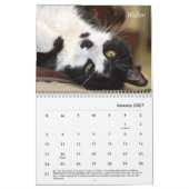 2021 Tabby's Place Calendar Kalender (Jan 2027)