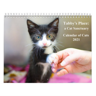 2021 Tabby's Place Calendar Kalender