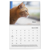 2021 Tabby's Place Calendar Kalender (Mär 2026)