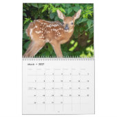 2021 Tierkalender (Weißschwanz-Hirsche) Kalender (Mär 2027)