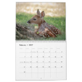 2021 Tierkalender (Weißschwanz-Hirsche) Kalender (Feb 2027)