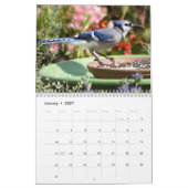2021 Vogelschutz Kalender (Jan 2027)