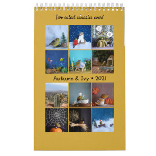 2021 Wall Calendar Niedliche Vögel Haustiere Kana Kalender