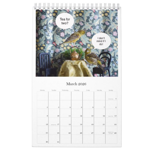 2021 Wall Calendar Niedliche Vögel Haustiere Kanar Kalender (Mär 2026)