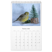 2021 Wall Calendar Niedliche Vögel Haustiere Kanar Kalender (Jan 2026)