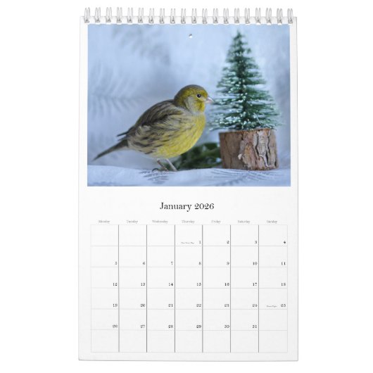 2021 Wall Calendar Niedliche Vögel Haustiere Kanar Kalender (Jan 2026)