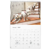 2021 Westie and Hogs Calendar Kalender (Jan 2027)