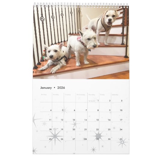 2021 Westie and Hogs Calendar Kalender (Jan 2026)