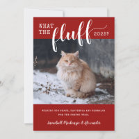 2021 What the Fluff Funny Pet Cat Foto