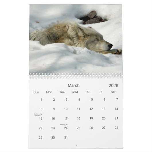 2021 Wolves 2 Wildlife Fotografy Calendar Kalender (Mär 2026)