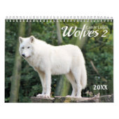 2021 Wolves 2 Wildlife Fotografy Calendar Kalender (Titelbild)
