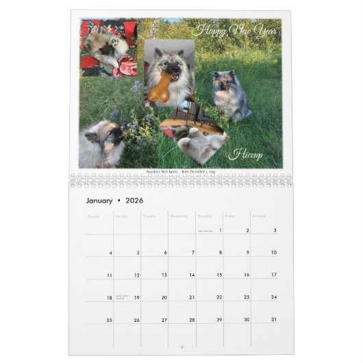 2021 Zweiter Kalender (Jan 2026)