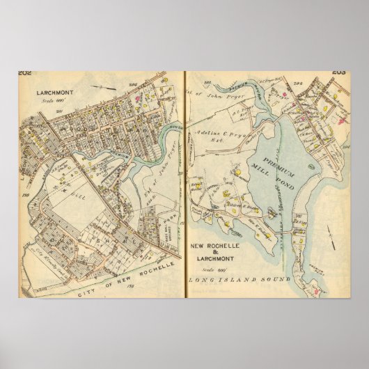 202203 POSTER (Vorne)