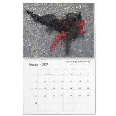 2022 11x14 Savannah Tumbleweaves Kalender (Feb 2027)