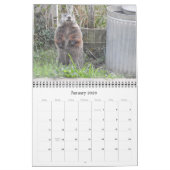 2022 12 Monate Foto Mauerkalender Kalender (Jan 2026)