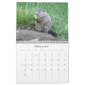 2022 12 Monate Foto Mauerkalender Kalender (Feb 2027)