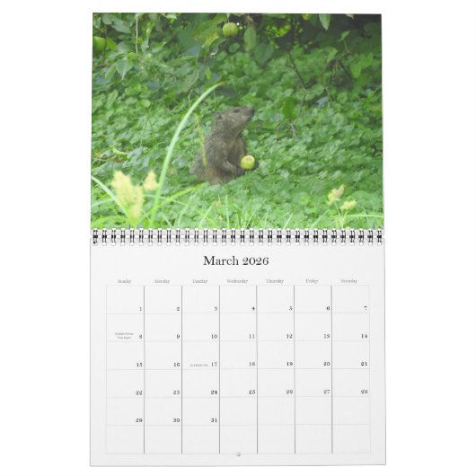 2022 12 Monate Foto Mauerkalender Kalender (Mär 2026)