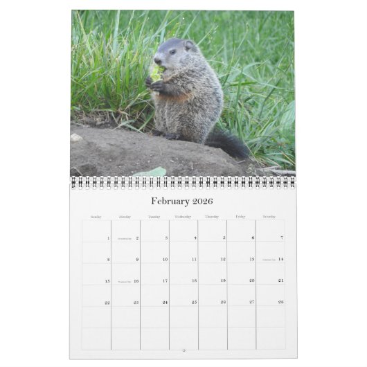 2022 12 Monate Foto Mauerkalender Kalender (Feb 2026)