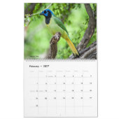 2022 Birds of North America Calendar Kalender (Feb 2027)