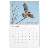2022 Birds of North America Calendar Kalender (Mär 2027)