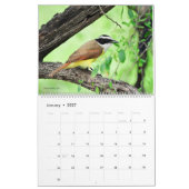 2022 Birds of North America Calendar Kalender (Jan 2027)