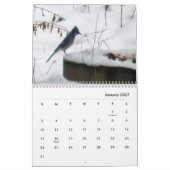 2022 Calendar Nature in Winter  Kalender (Jan 2027)