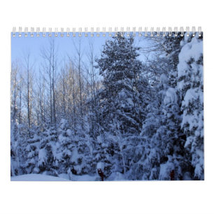 2022 Calendar Nature in Winter Kalender