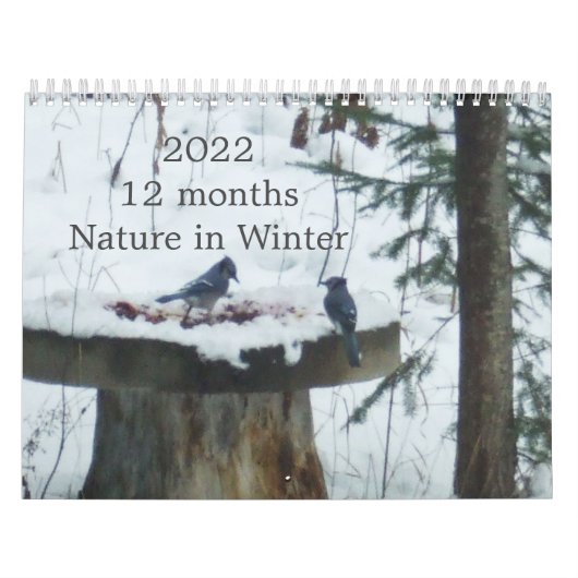 2022 Calendar Nature in Winter  Kalender (Titelbild)