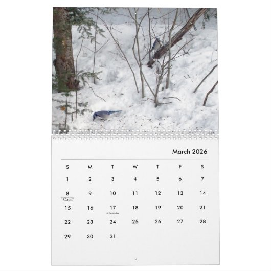 2022 Calendar Nature in Winter  Kalender (Mär 2026)