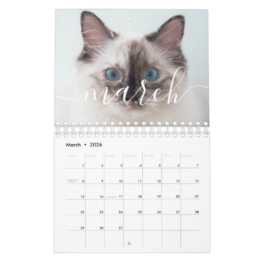 2022 Einfaches Minimalistisches benutzerdefinierte Kalender (Mär 2026)