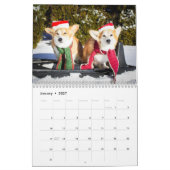 2022 Hummeln und Dawgins Corgi Calendar Kalender (Jan 2027)