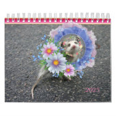 2022 Kalender Farbenfrohe Streifen Opossum (Titelbild)