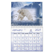 2022 Kalenderpolarbär Kalender (Jan 2027)