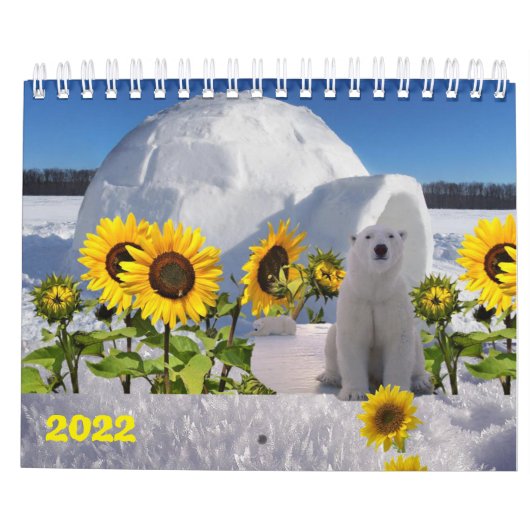 2022 Kalenderpolarbär Kalender (Rückseite)
