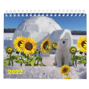 2022 Kalenderpolarbär Kalender
