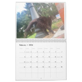 2022 Katzen-Hintern-Kalender Kalender (Feb 2026)