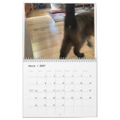 2022 Katzen-Hintern-Kalender Kalender (Mär 2027)